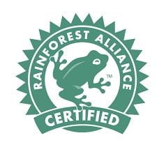 rainforest.jpg